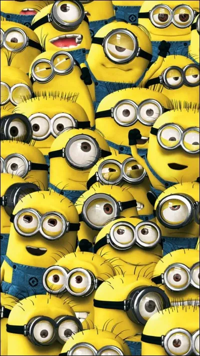 Avec quel titre le film a-t-il été commercialisé en France ?