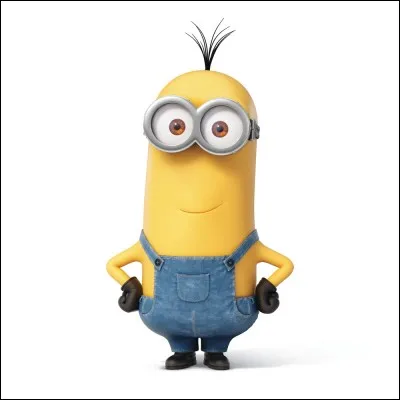 Comment s'appelle-t-il ?