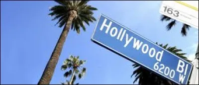 Quels acteurs interprètent respectivement les rôles de Vee et Ian ?