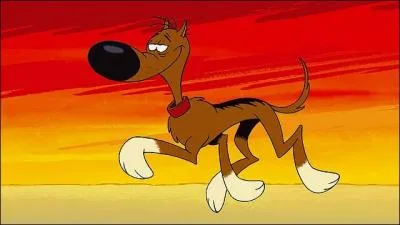 Le chien le plus bte de l'ouest...