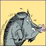 Ou peut on rencontrer cet animal peureux ?