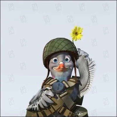 Quel est le nom de ce pigeon de combat ?