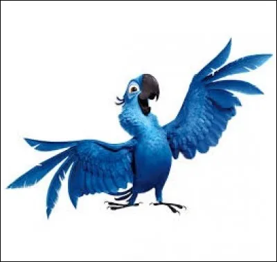 De quelle espèce est Blu dans "Rio" ?