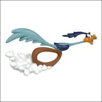 Quelle est l'espèce de Bip Bip ?