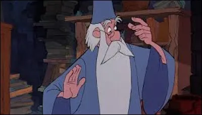 Quel est le prénom de l'oiseau qui accompagne Merlin dans ses folles aventures ?