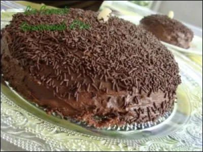 Il en a la forme, presque la couleur. À quoi vous fait penser ce gâteau fait de meringue, de mousse au chocolat saupoudrée de cacao et de paillettes de chocolat ?