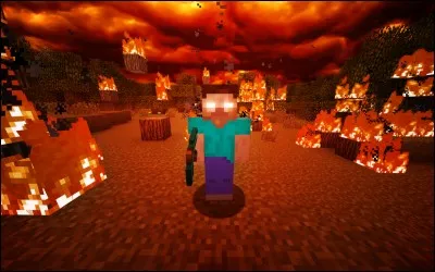 Quel est le monstre qui n'existe pas dans le Nether ?