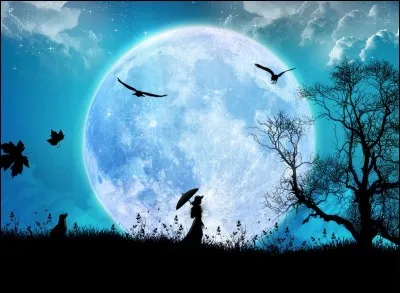 Etes-vous bien lun&eacute;(e) ?