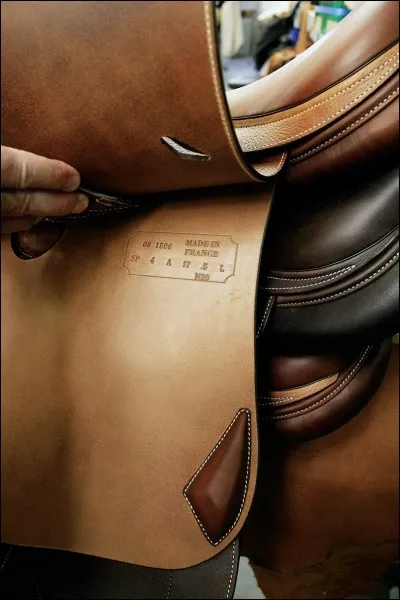 Comment se nomme cette partie de la selle ?