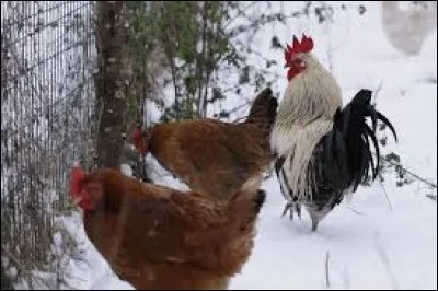 Lors de la fête de quel saint attend-on beau ciel pour être sûr d'avoir du bon vin ?