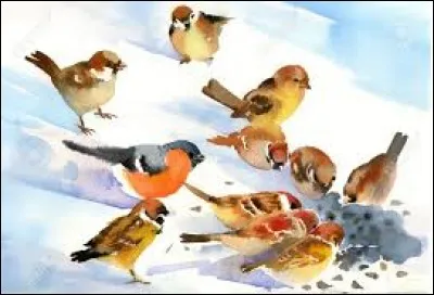 Que se passe-t-il au mois de février pour toutes les bêtes ?