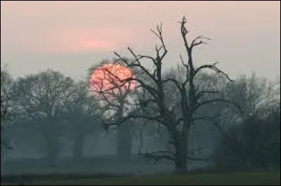 Au 15 février qui fête-t-on ?