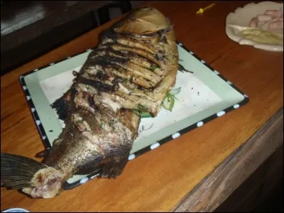 Homme amoureux de lui-même (ou femme) !