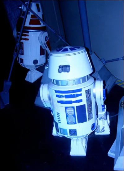 Comment s'appelle cette attraction ?