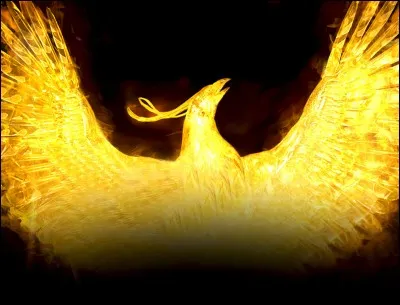 Ce majestueux oiseau est celui de la marque de bière...