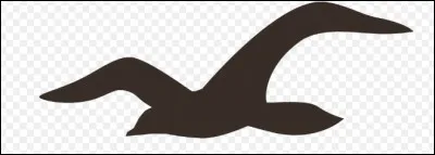 Cette mouette représente la marque de vêtements...