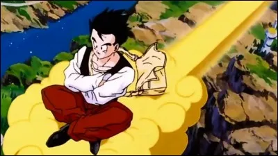 Dans quel lycée va étudier Son Gohan ?
