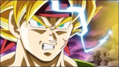 Comment s'appelle le père de Son Goku alias Kakarotto ?