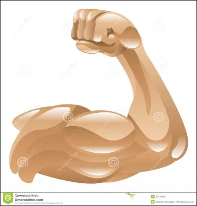 Qui est la personne la plus puissante de l'univers après Zen'o Sama ?