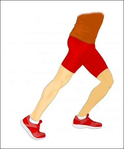 Qu'est-ce qui se trouve au-dessus du fléchisseur propre du gros orteil ?