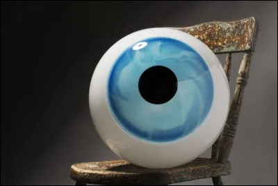 Quel grand physicien a découvert l'optique ?