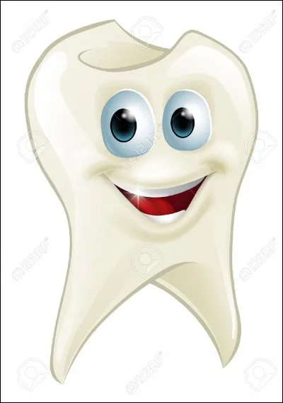 Quelle est la première veine en dessous de la dentine ?