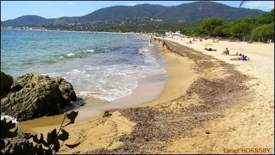 Quand le deuxième débarquement a-t-il eu lieu ?