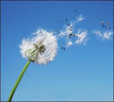 Quelle chanteuse a sorti le titre "Prendre l'air" en 2010 ?