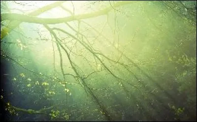 Peut-on être banni à vie?