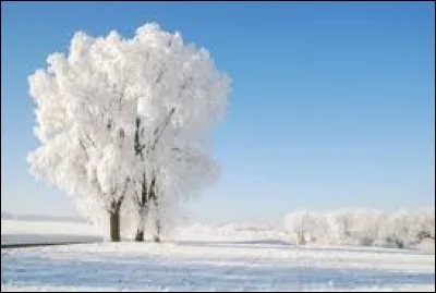 Quel contenant correspond à une bouffée d'air frais ?