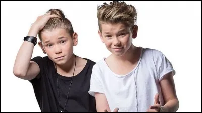 Lequel a les cheveux plus longs ?