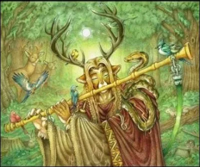 Où Oengus a-t-il vu pour la première fois la belle Caer Ibormaith ?