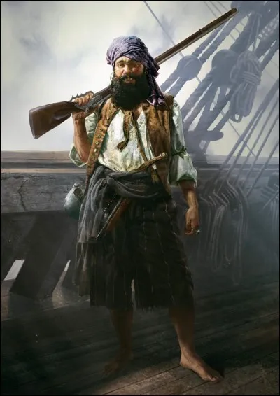 Dans le vocabulaire pirate qu'est-ce qu'un "bougaron" ?