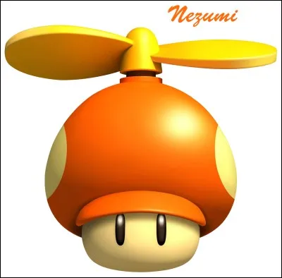 Quel est ce champignon ?