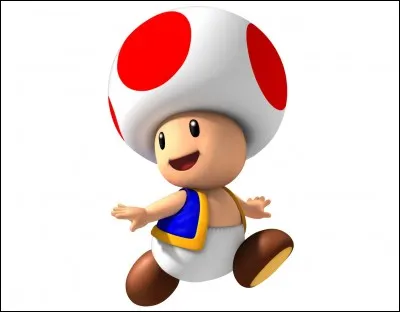 Quel est ce personnage ?