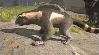 Pour finir en beauté, une créature, spéciale... 
[Oui, l'image n'est pas superbe...]