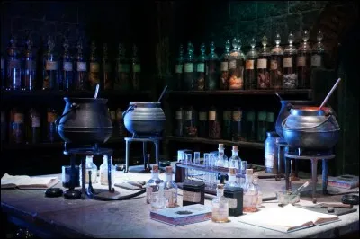 Quelle est la première potion que Harry réalise durant sa première année ?