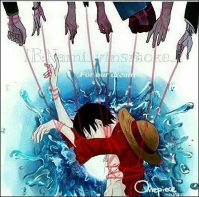 Je deviendrai le roi des pirates. Je suis :