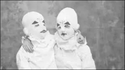 Quel est le pouvoir des jumeaux ?