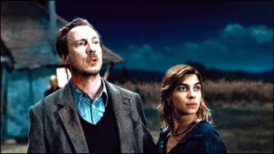 Tonks est une Métamorphomage, Remus est un...