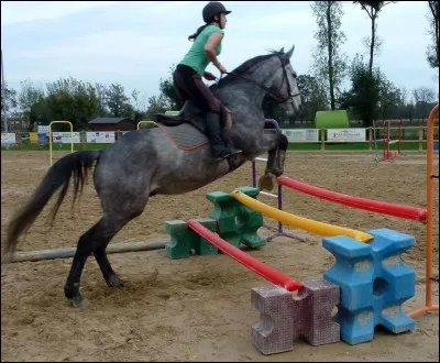 Quel est le nom de cet obstacle ?