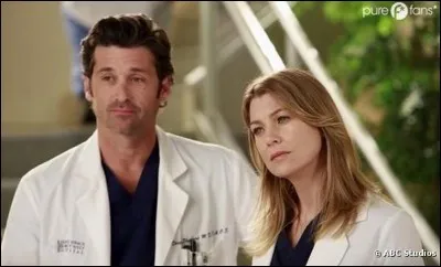 Combien d'enfants ont perdus Meredith et Derek ?