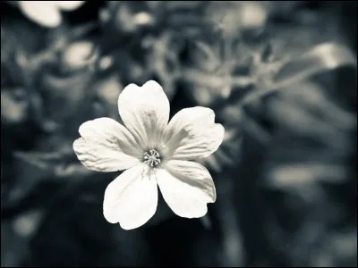 Hors de quoi le mort nie-t-il d'&ecirc;tre ?