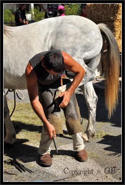 Quel est ce métier ?