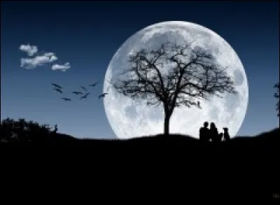 Que gardent ses mains ?