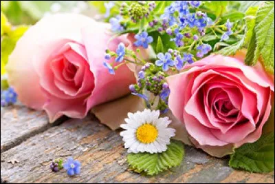 À qui, appartient-elle ?