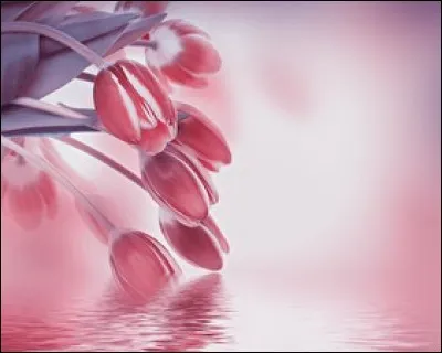 En quelle couleur voit-elle la vie ?