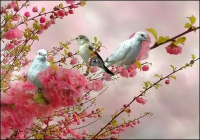 Qui chantait "Les mots s'envolent et retournent sans cesse
À leur lieu de naissance, le silence" ?