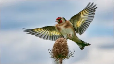 Il mettait de l'ambiance avec " Quand tu souris, je m'envole au paradis..."