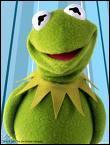 Quel est le nom de la grenouille, la plus connue du muppet ?